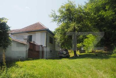 Casa off-grid 5 camere Sangatin - 2