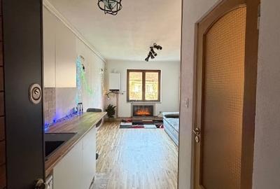 Studio la poalele Cetatii Devei - 7