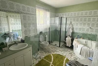 Casă cu 4 camere cu Teren 8000 Mp în Central - 12