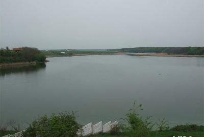 Teren de 3001 mp, în Grădiștea - 7