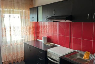 Apartament cu 3 camere decomandat în Lăpuș Argeș - 6