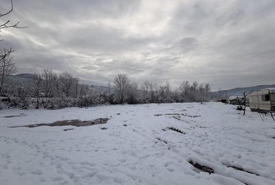 Teren de 6000 mp, în Moroeni - 4