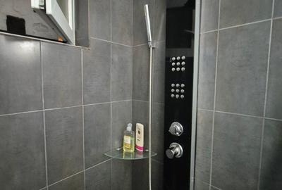 Apartament cochet -vecin parcul Botanic, intre Piata UNIRII și IULIUS MALL - 15