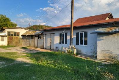 Inchiriez hala industriala Curtea de Arge? - 10