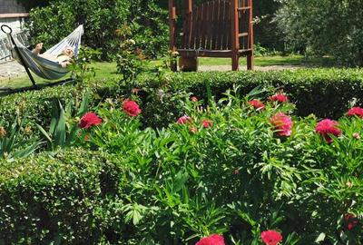 Casă cu 3 camere în Dănești - 5