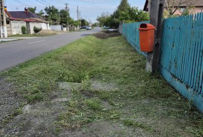 Casa batraneasca paianta - 8
