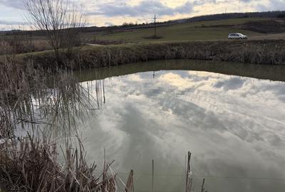 Spațiu comercial, în Central