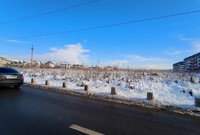 Teren de vanzare sau inchiriere Chiajna/ perfect pentru casa - 3