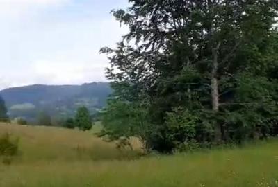 Spațiu comercial, în Central