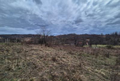 Teren agricol extravilan de 11400 mp, în Iabalcea - 9