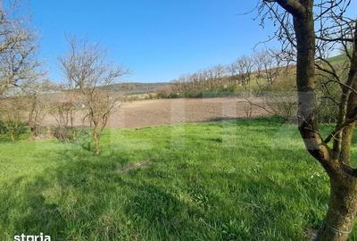 Casă cu 4 camere cu Teren 15000 Mp în Bichiș - 3