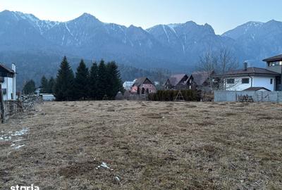 Teren de 2676 mp, în Piatra Arsă - 8