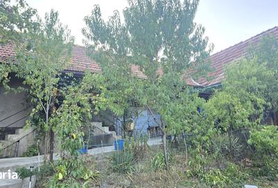 Casă cu 3 camere cu Teren 766 Mp în Viile Noi