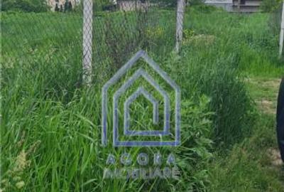 Teren , Sf Ilie Nou, zona Profi - 2