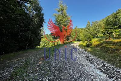 Teren Construcții extravilan de 18000 mp, în Exterior Est - 26