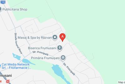 Teren agricol extravilan de 10000 mp, în Frumușani - 1