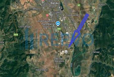 Teren agricol extravilan de 8100 mp, în Nicolae Bălcescu - 3