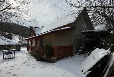 Casă cu 4 camere cu Teren 19200 Mp în Central