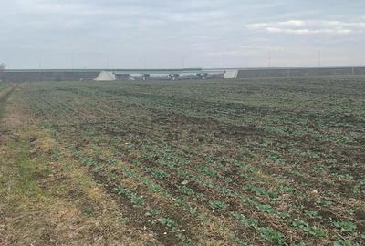 Teren Construcții extravilan de 4850 mp, în Central - 10