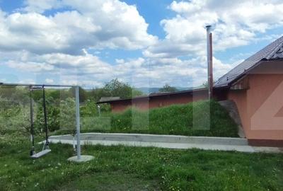 Casa+ casa vacanta, 2200 mp livada, Schitu-Duca - 12