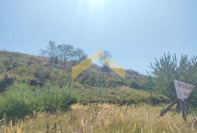 Teren de 13412 mp, în Păuliș - 6