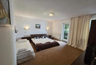 Vanzare vila Poiana Brasov - 9