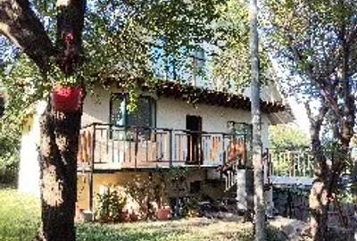 Casa de vis - refugiu in natura - 1