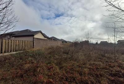 Teren Valea Ursului, 541mp, 60euro mp neg - 2