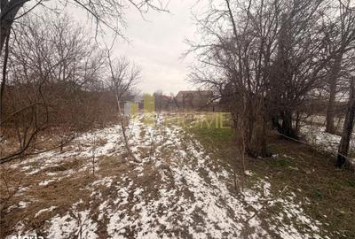 Spațiu comercial, în Buștenari - 5