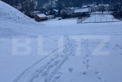 Teren de vanzare, 6000 mp + o casa batraneasca, in Vor - 4
