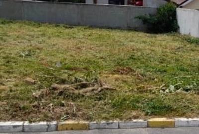 Teren intravilan Valu lui Traian-339 mp- Ușor negociabil