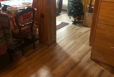 Case de vacanta zona Rasinari - 4