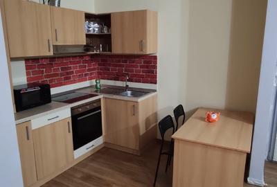 Garsoniera în Complexul Studențesc Timisoara - 4