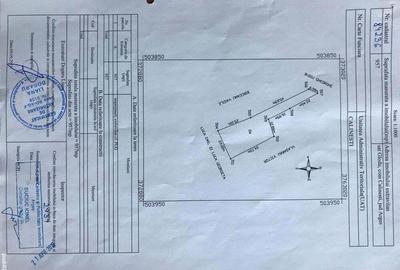 Casă cu 3 camere cu Teren 3000 Mp în Gorganu - 4