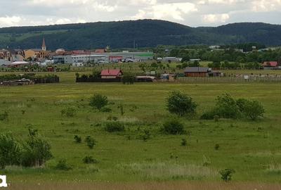 Teren de 1000 mp, în Central - 5