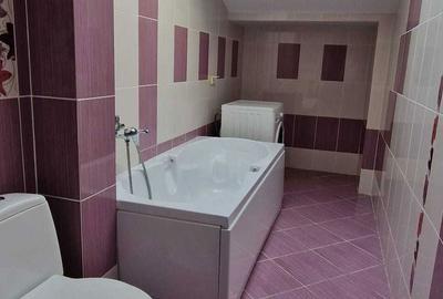 Garsonieră decomandată în Bucium - 2