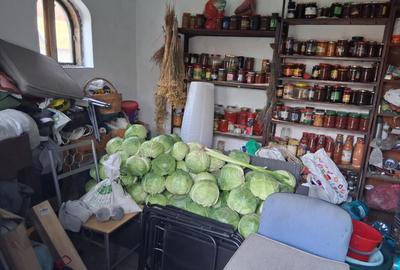 Casă cu 7 camere cu Teren 863 Mp în Brestei - 4