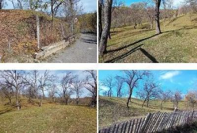 Teren cota parte 1/2, Sat Vistieru, ID: R2809860 - 4