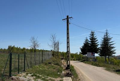 Casă cu 2 camere în Vadu Crișului - 3