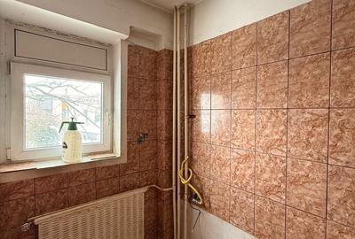 Victoriei - Ion Mihalache - Calea Grivitei - vav parc Regina Maria - 6