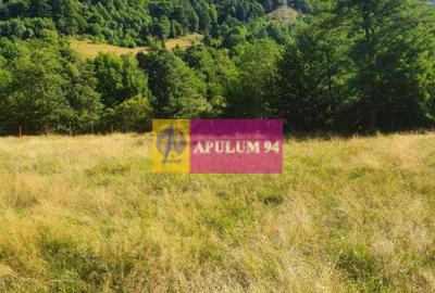 Teren Construcții intravilan de 744 mp, în Periferie - 22
