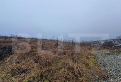 Teren intravilan, 30 de ari, Sigmir - cu Autorizatie de cons - 3