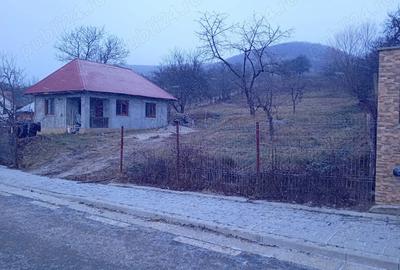 Casa de vanzare + 58 ari de teren intravilan 12 km de Dej, 60 km de Cluj-Napoca - 3