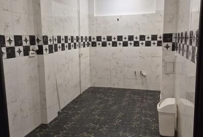 De vânzare Vilă individuala 11 camere curte proprie Parcul Carol - 14