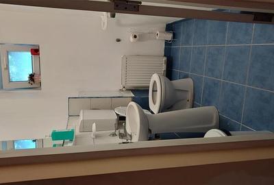 Casă individuală cu 10 camere cu Canalizare în Aradul Nou - 6