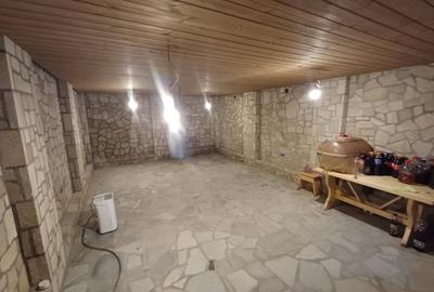 CASA PREMIUM  MIROSLAVA , 250MP UTILI, 5 CAMERE, BECI, 2 GARAJE, 1100 MP TEREN - 19