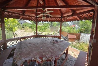 Casa de vacanca cu potential turistic, 1603 mp teren, Cernatesti - 12