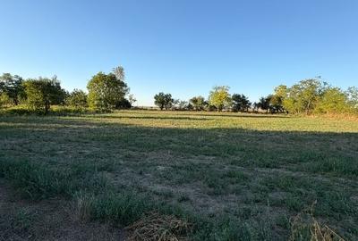 Teren Construcții intravilan de 6005 mp, în Șiriu - 3