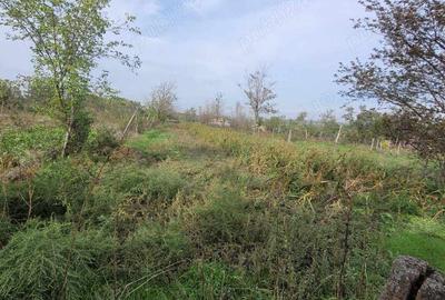 Casă în Cudalbi - 3