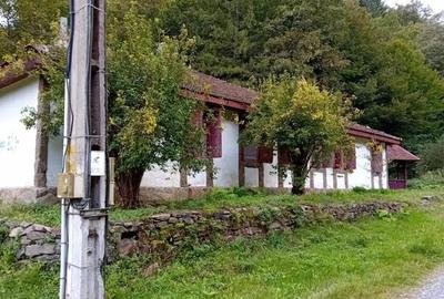 Casa de vacanta Crivaia, langa Valiug locatie idilica, ideala pentru timp liber - 11